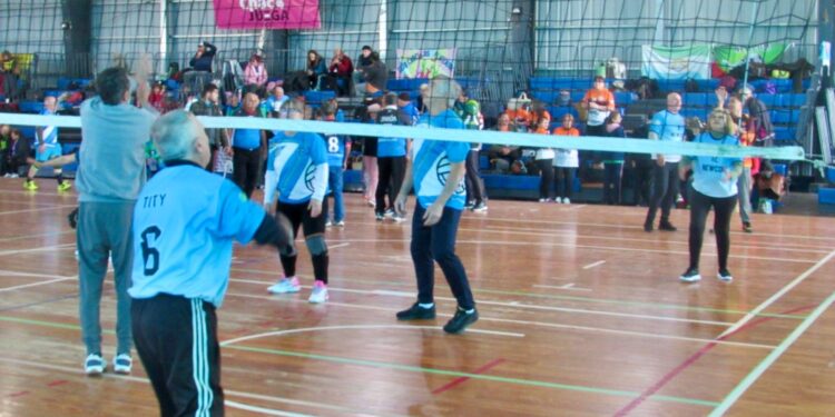 CLASES DE NEWCOM GRATUITAS PARA ADULTOS MAYORES EN EL INSTITUTO DEL DEPORTE