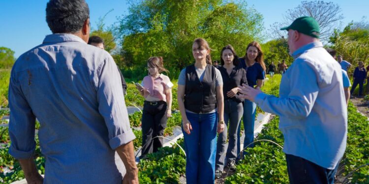 LAS PALMAS: “ACOMPAÑAMOS AL QUE TRABAJA LA TIERRA Y GENERA FUTURO” EXPRESÓ LA VICEGOBERNADORA SCHNEIDER