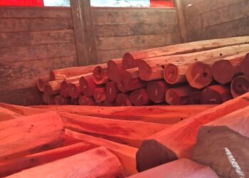 BOSQUES: SECUESTRAN MAQUINARIA Y CARGAMENTO ILEGAL DE QUEBRACHO COLORADO