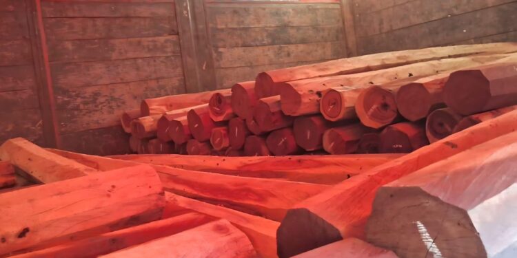 BOSQUES: SECUESTRAN MAQUINARIA Y CARGAMENTO ILEGAL DE QUEBRACHO COLORADO