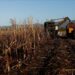 Un empresario irá a juicio en Jujuy acusado por tres décadas de abusos en una finca azucarera