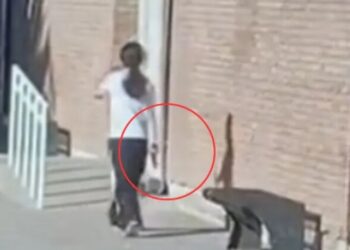Pánico en Mendoza por una joven que ingresó armada a un colegio y realizó disparos