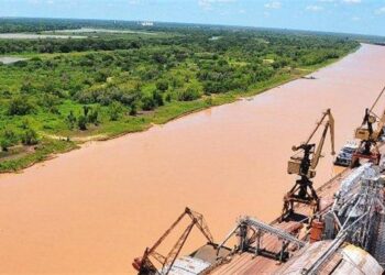 Fuerte repunte de las exportaciones chaqueñas en agosto impulsado por el valor y el volumen