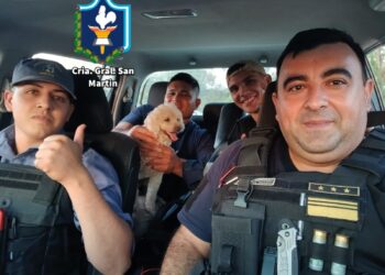 BUENAS NOTICIAS: POLICÍAS LLEVARON DE VUELTA A CASA A UN CANICHE SUSTRAÍDO