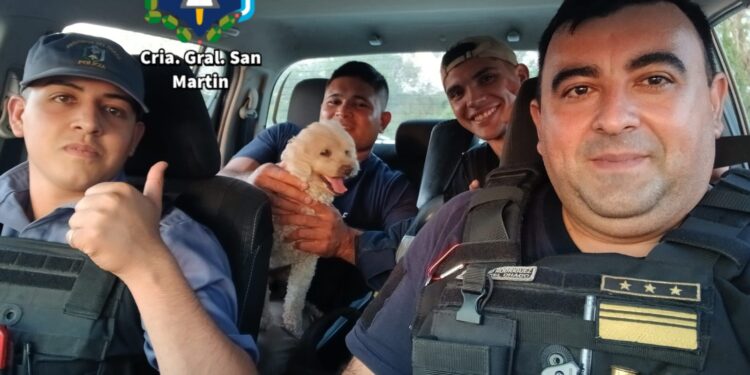 BUENAS NOTICIAS: POLICÍAS LLEVARON DE VUELTA A CASA A UN CANICHE SUSTRAÍDO