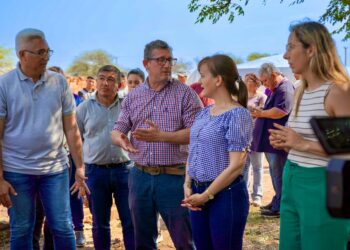 El DNU de Milei en la cuerda floja: la oposición avanza con un proyecto para limitar los superpoderes presidenciales