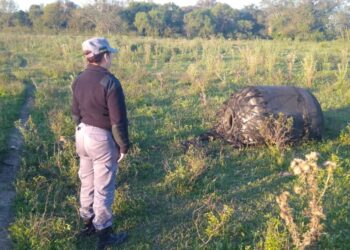 Misterioso Objeto Metálico cae del Cielo y causa Alerta en una zona rural de Puerto Tirol