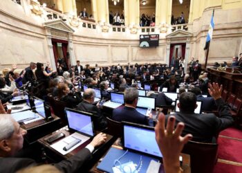 Derrota Parlamentaria para el Gobierno: Senado Rechaza los Vetos de Milei y Restablece el Financiamiento Clave para Universidades y el Hospital Garrahan