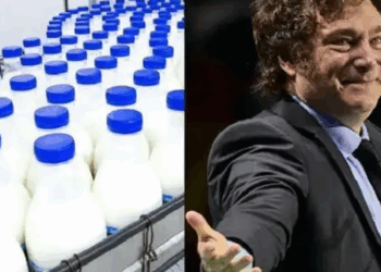 Crisis Láctea: Quiebra de Lácteos Conosur (La Suipachense) Deja 140 Empleados Sin Trabajo y Exacerba la Incertidumbre en el Sector