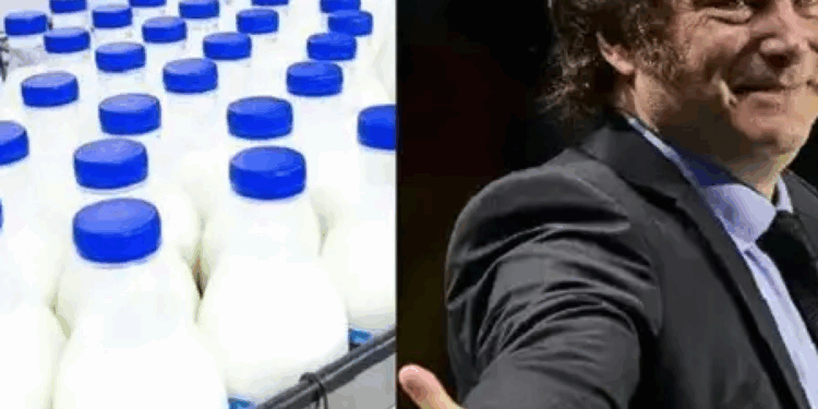 Crisis Láctea: Quiebra de Lácteos Conosur (La Suipachense) Deja 140 Empleados Sin Trabajo y Exacerba la Incertidumbre en el Sector