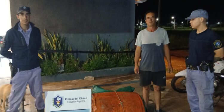 RECUPERARON UNA CARPA VALUADA EN $1,5 MILLONES: BUSCAN AL AUTOR