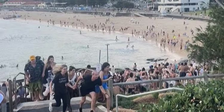Masacre en Bondi Beach: El Terrorismo Antisemita Golpea Sídney en Plena Celebración de Janucá