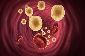 Uno de Cada Tres Argentinos Tiene Niveles Elevados de Lipoproteína(a), un Marcador de Colesterol Genético Silencioso