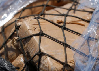 Narcotráfico y Cuestionamientos Judiciales: Absuelven a Empresario Argentino en una Megacausa de Exportación de Cocaína