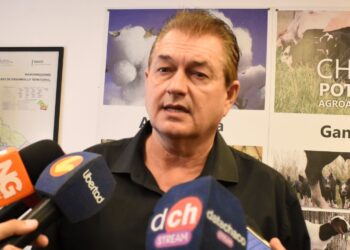DUDIK ADVIERTE QUE LA CAUTELAR DEJA AL CHACO SIN UN MARCO LEGAL PARA CUIDAR EL AMBIENTE Y PARALIZA LA ACTIVIDAD FORESTAL