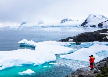 MILEI EN DAVOS: UNA DEFENSA CERRADA DEL CAPITALISMO FRENTE AL AVANCE DEL COLECTIVISMO
