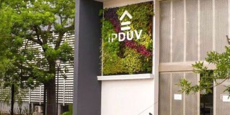 EL IPDUV RECUERDA QUE LAS BOLETAS DE PAGO SE EMITEN SOLO EN FORMATO DIGITAL