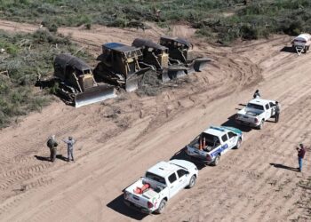 DESMONTE ILEGAL EN RÍO MUERTO: “VAN A TENER QUE VENDER EL CAMPO PARA PAGAR LA MULTA” AFIRMÓ DUDIK