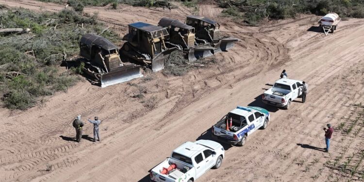 DESMONTE ILEGAL EN RÍO MUERTO: “VAN A TENER QUE VENDER EL CAMPO PARA PAGAR LA MULTA” AFIRMÓ DUDIK