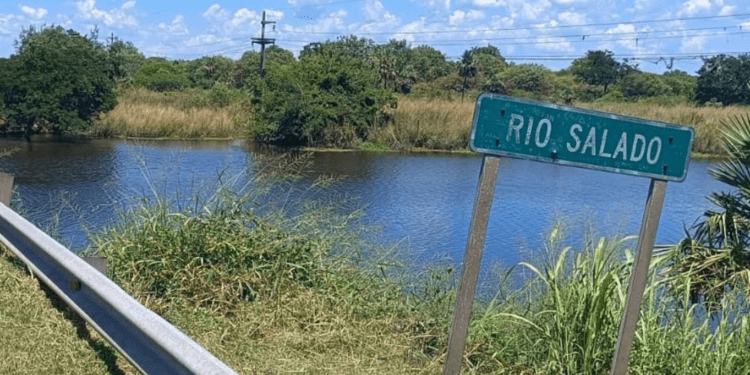 ADMINISTRACIÓN PROVINCIAL DEL AGUA: DESVÍO CONTROLADO DEL RÍO NEGRO BENEFICIA A LA PRODUCCIÓN GANADERA