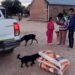 PROGANO LLEVA FORRAJE Y ASISTENCIA VETERINARIA A PRODUCTORES DEL NORTE CHAQUEÑO