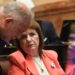 El oficialismo deberá negociar voto a voto para sancionar los cambios en Zonas Frías