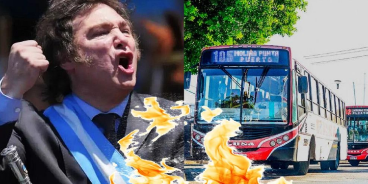 Conflicto en el transporte: el Gobierno elimina las compensaciones a empresas de micros por los pasajes gratuitos para personas con discapacidad