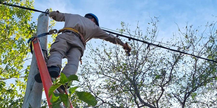 SÁENZ PEÑA: FUERTE OPERATIVO DE SECHEEP PARA DETECTAR Y ELIMINAR CONEXIONES CLANDESTINAS