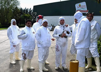 Alarma en el sector avícola: Granja Tres Arroyos paralizó su planta de Entre Ríos y peligran 950 puestos de trabajo