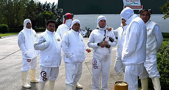Alarma en el sector avícola: Granja Tres Arroyos paralizó su planta de Entre Ríos y peligran 950 puestos de trabajo