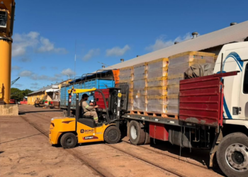 EL PUERTO DE BARRANQUERAS CONSOLIDA SU ACTIVIDAD CON NUEVOS ENVÍOS DE SEMILLAS DE GIRASOL