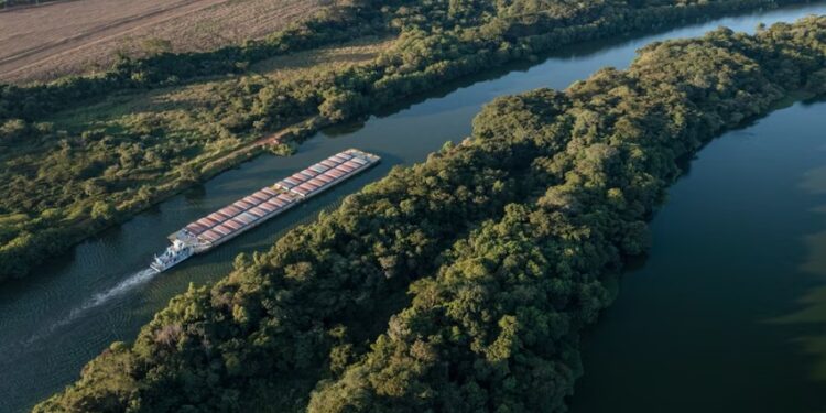 El juez Daniel Rafecas avaló el proceso de licitación de la Hidrovía