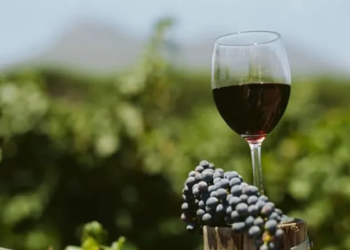Argentina logró su mejor actuación histórica en los premios Decanter con 367 medallas