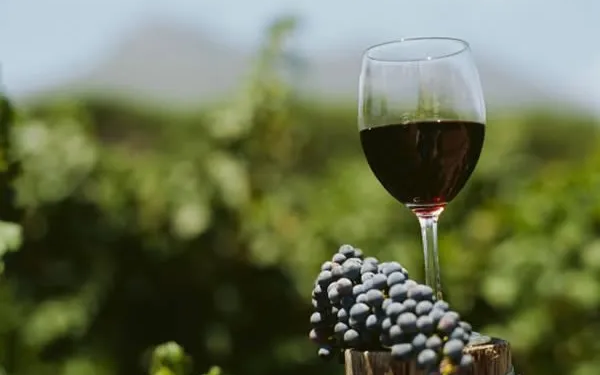 Argentina logró su mejor actuación histórica en los premios Decanter con 367 medallas