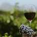 Argentina logró su mejor actuación histórica en los premios Decanter con 367 medallas