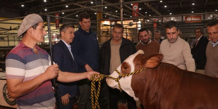 GANADERÍA, PRODUCCIÓN Y EXPORTACIÓN: CHACO MUESTRA SU CRECIMIENTO EN LA EXPO RURAL DE PALERMO