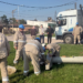 SECHEEP AVANZA CON OBRAS ESTRATÉGICAS PARA FORTALECER EL SERVICIO ELÉCTRICO EN LAS BREÑAS