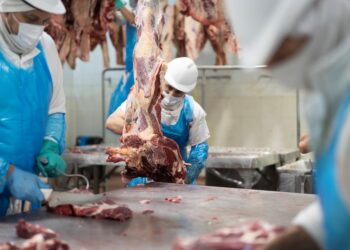EE.UU. abre la importación de carne para bajar precios antes de las elecciones y la medida amenaza las exportaciones arg