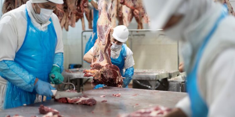 EE.UU. abre la importación de carne para bajar precios antes de las elecciones y la medida amenaza las exportaciones arg