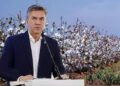 El Gobierno del Chaco bonificará el 60% del costo de la semilla de algodón para la nueva campaña