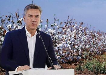 El Gobierno del Chaco bonificará el 60% del costo de la semilla de algodón para la nueva campaña