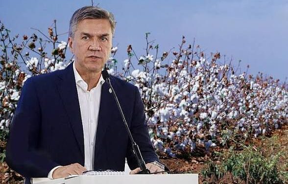 El Gobierno del Chaco bonificará el 60% del costo de la semilla de algodón para la nueva campaña