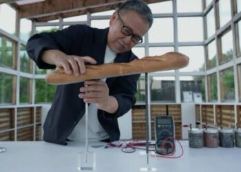 Energía a base de vino, pan y tierra: el invento japonés que busca cambiar el consumo descentralizado