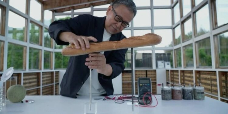 Energía a base de vino, pan y tierra: el invento japonés que busca cambiar el consumo descentralizado