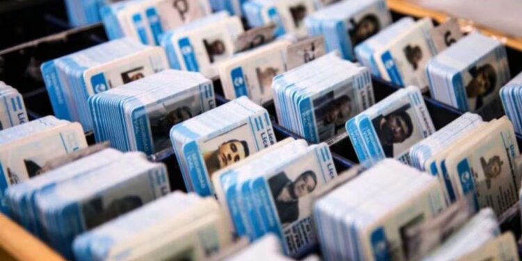 Licencias profesionales bonaerenses: prorrogan por 120 días los vencimientos ante el colapso del nuevo sistema