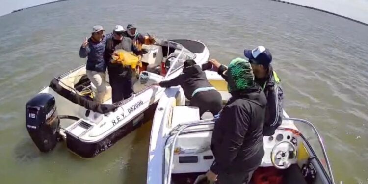 Pesca del Dorado: Chaco implementó transmisión satelital Starlink en vivo para fiscalizar la competencia