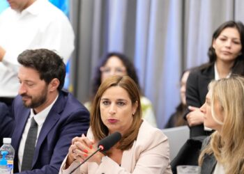 Una funcionaria de Javier Milei retrató como cucarachas a los referentes del peronismo y desató una ola de repudios