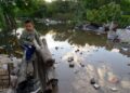 Corrientes bajo el agua: la crecida del Paraná golpea a la capital y ya hay más de 750 evacuados en toda la provincia