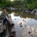 Corrientes bajo el agua: la crecida del Paraná golpea a la capital y ya hay más de 750 evacuados en toda la provincia